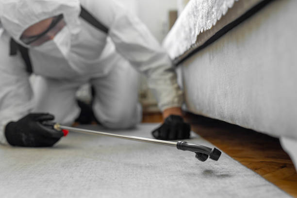 Professional Bed Bug Control technician working in Dickey County County, ND